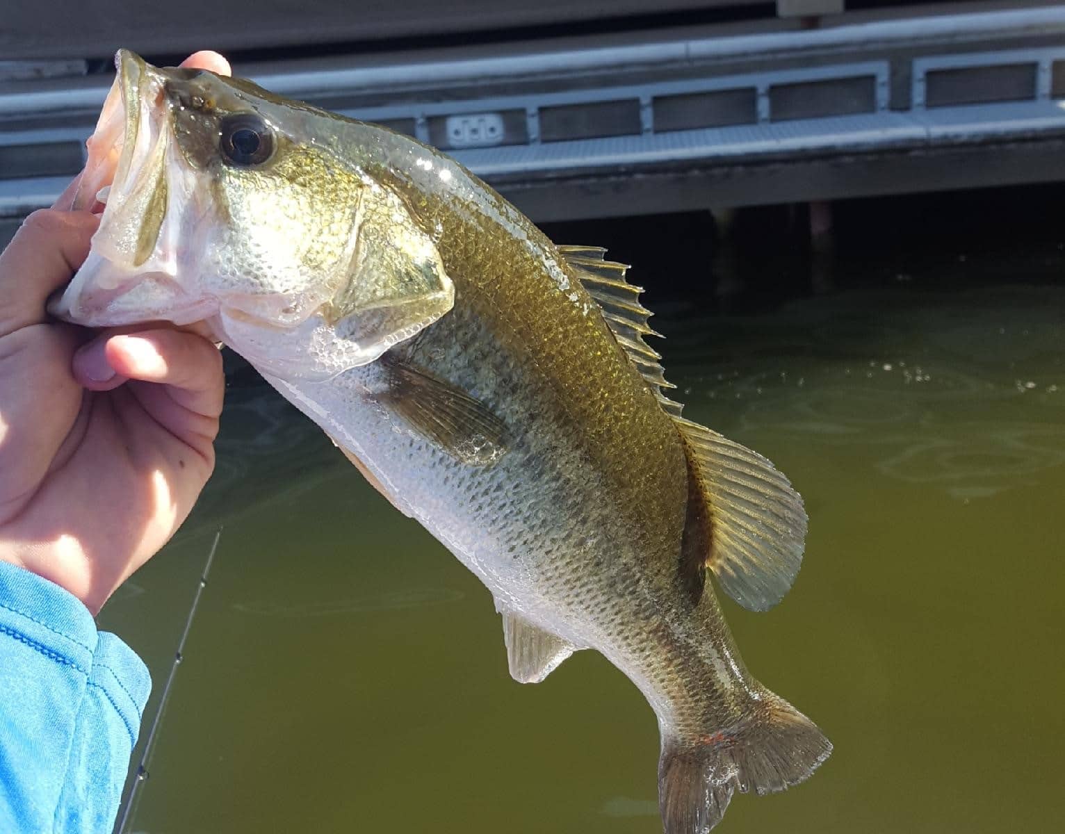 Suprising Lake Hudson's Fishing Adventures