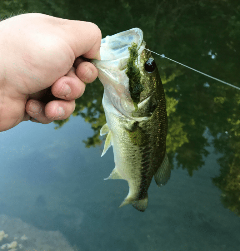 Fishing Boerne Lake - Hudson's Fishing Adventures